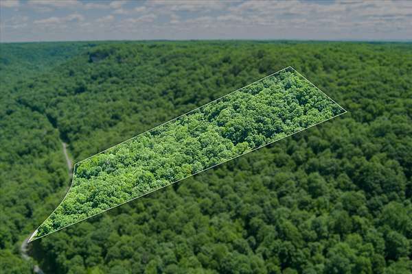 15 Acres of Land for Sale in Jamestown, Tennessee