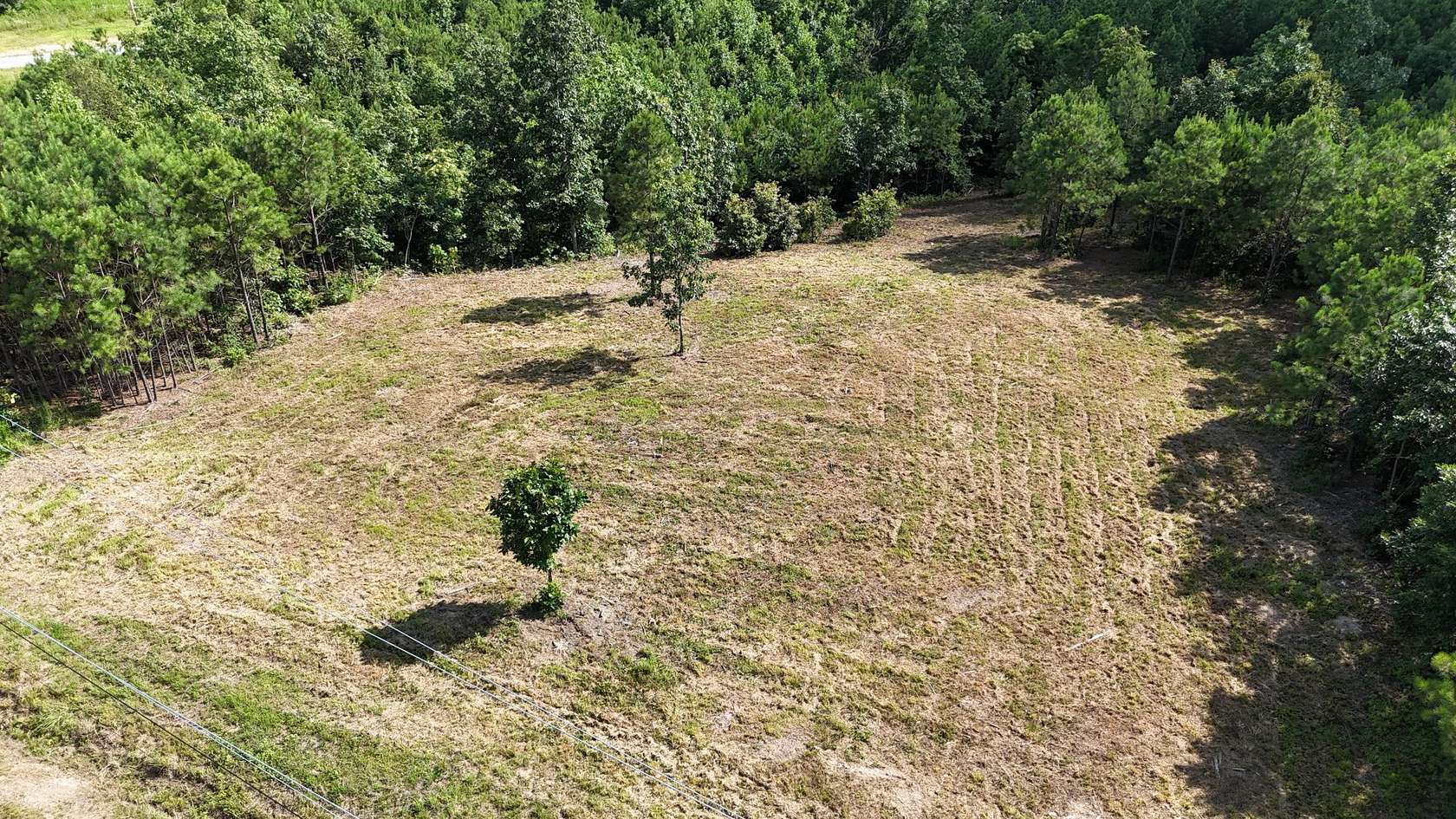 6 Acres of Land for Sale in Linden, Tennessee