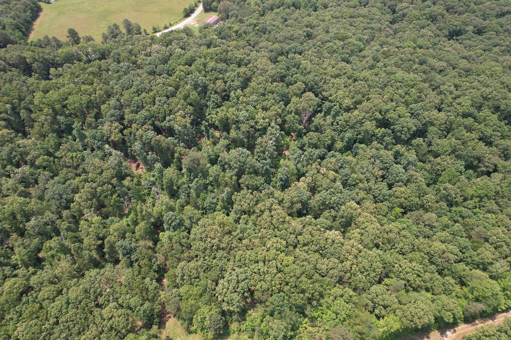 21 Acres of Land for Sale in Summertown, Tennessee