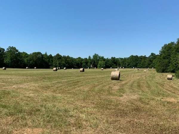 182 Acres of Land for Sale in Parsons, Tennessee