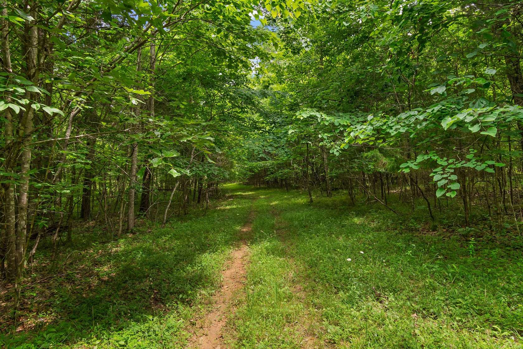 9.23 Acres of Residential Land for Sale in Spring Hill, Tennessee