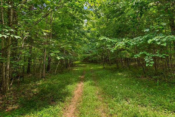 9.23 Acres of Residential Land for Sale in Spring Hill, Tennessee