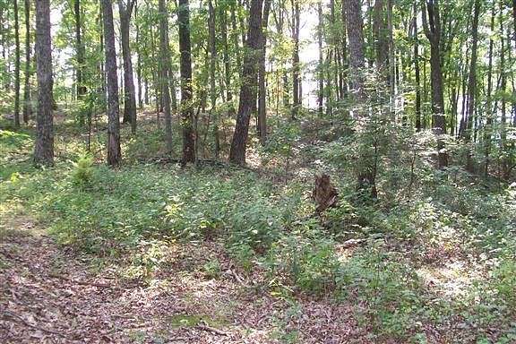 10 Acres of Land for Sale in McMinnville, Tennessee