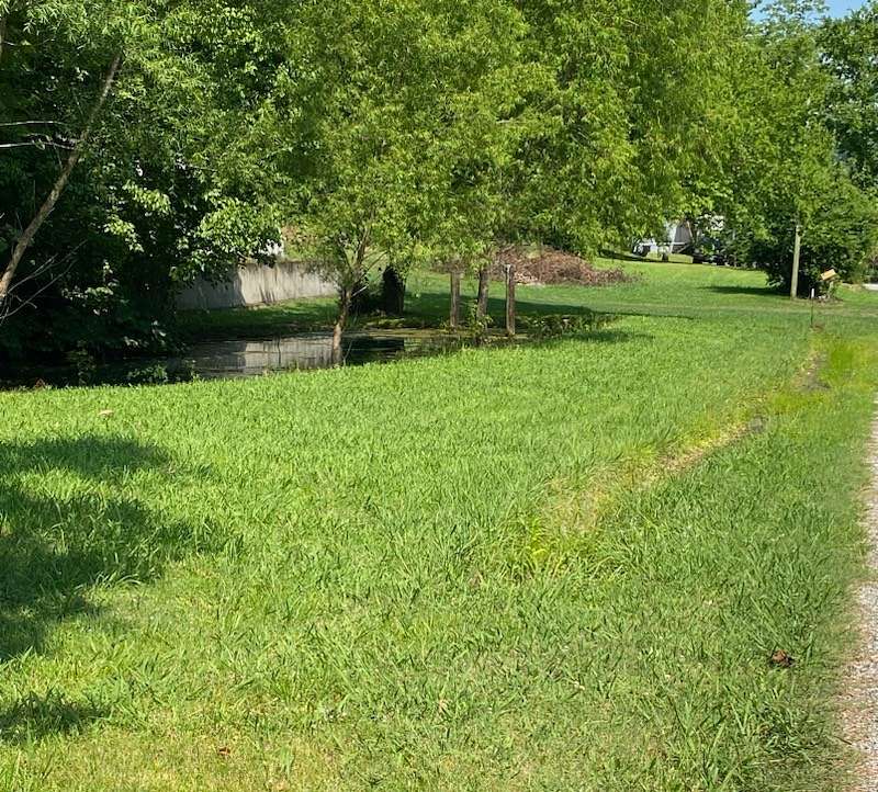 0.8 Acres of Land for Sale in Pulaski, Tennessee