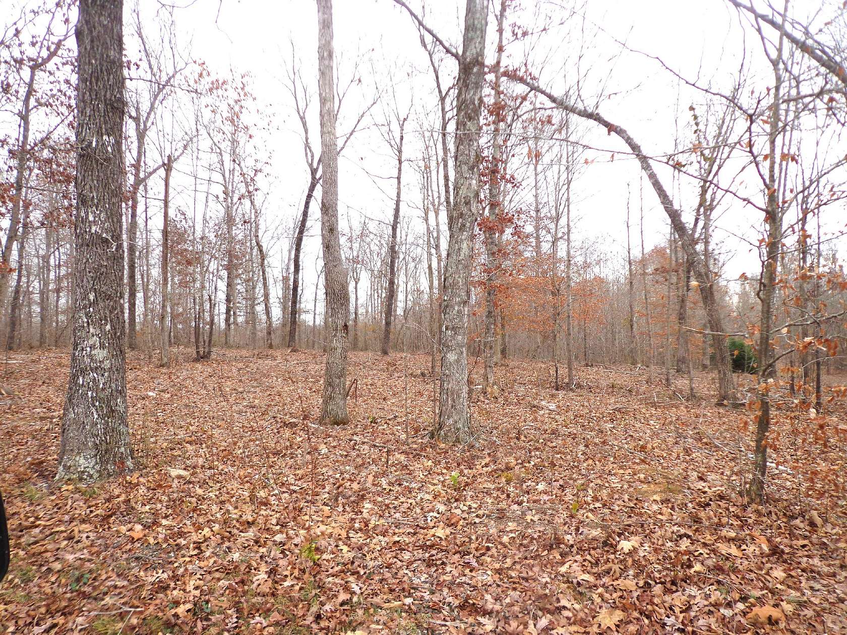 7.12 Acres of Land for Sale in Waverly, Tennessee