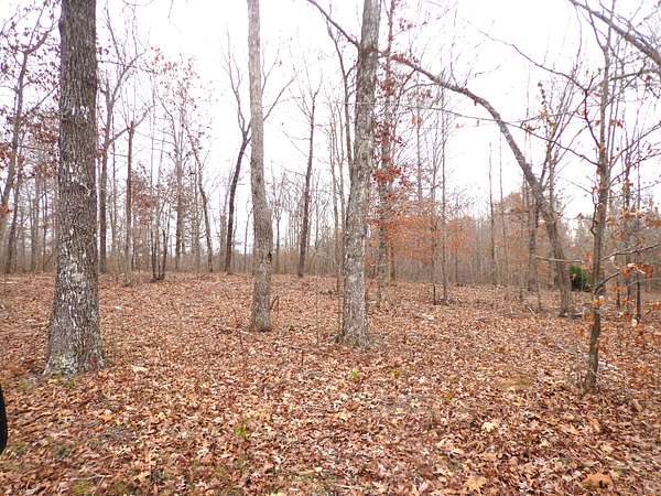 7.12 Acres of Land for Sale in Waverly, Tennessee