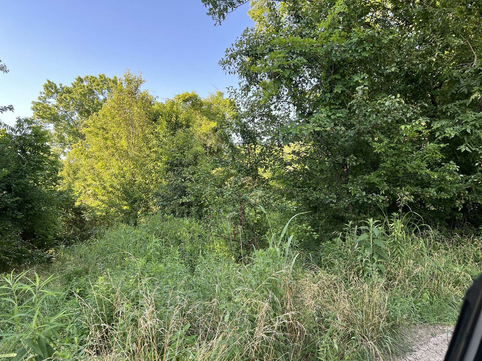 0.27 Acres of Land for Sale in Pulaski, Tennessee