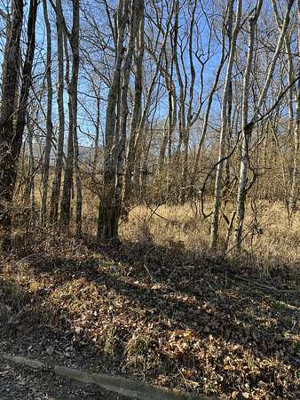 0.25 Acres of Land for Sale in Pulaski, Tennessee