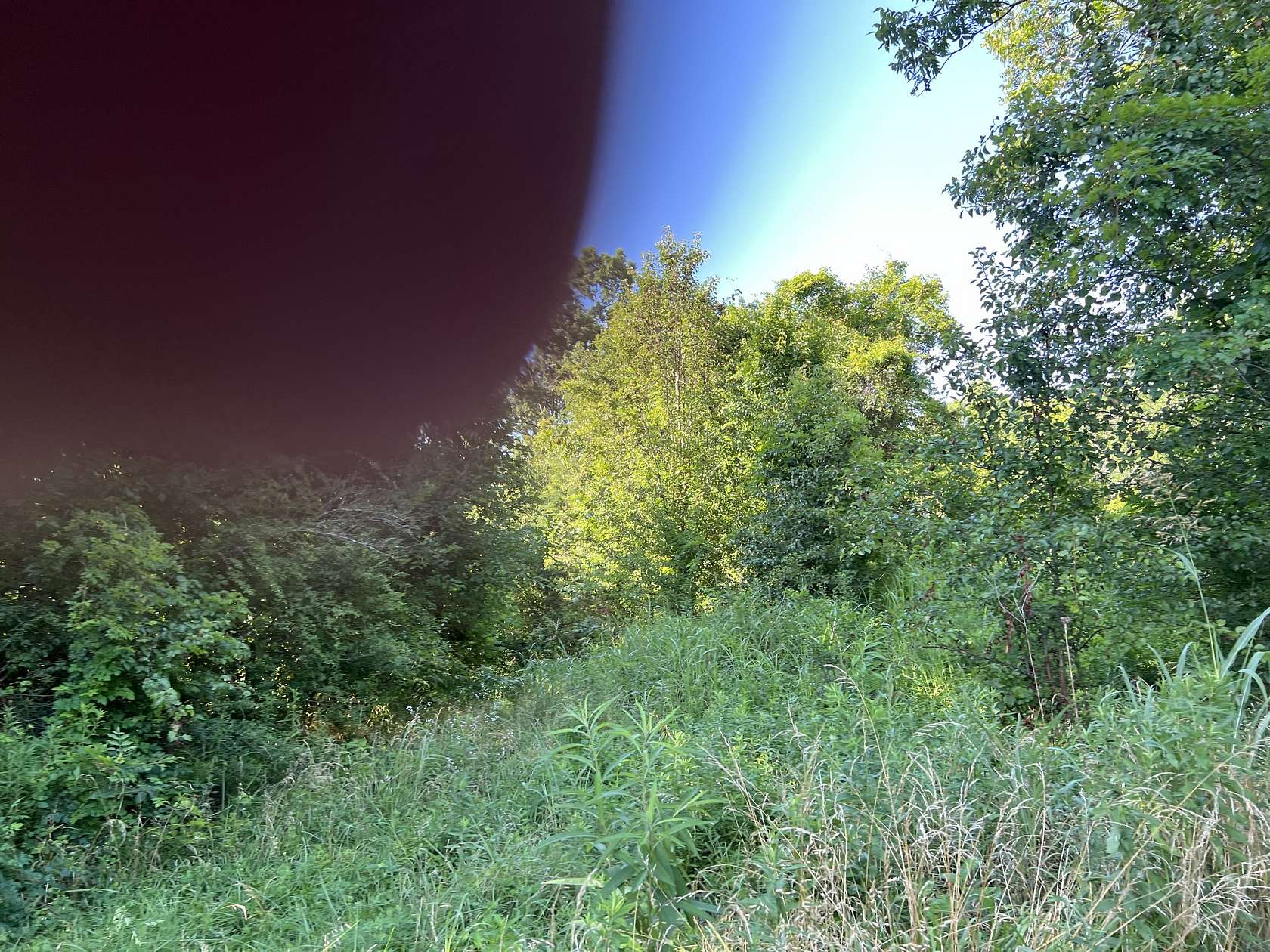 0.5 Acres of Land for Sale in Pulaski, Tennessee