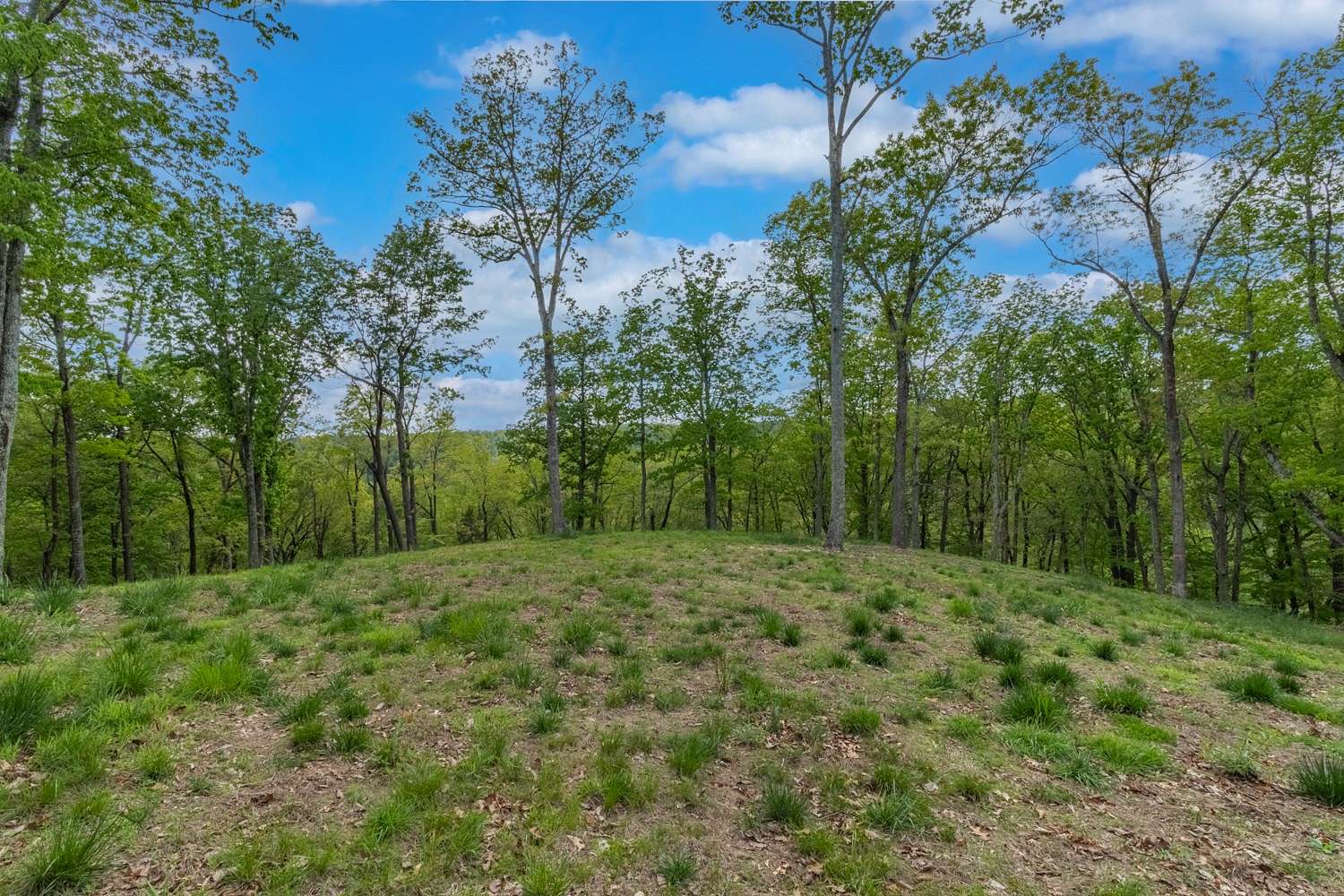 7.8 Acres of Land for Sale in Hampshire, Tennessee