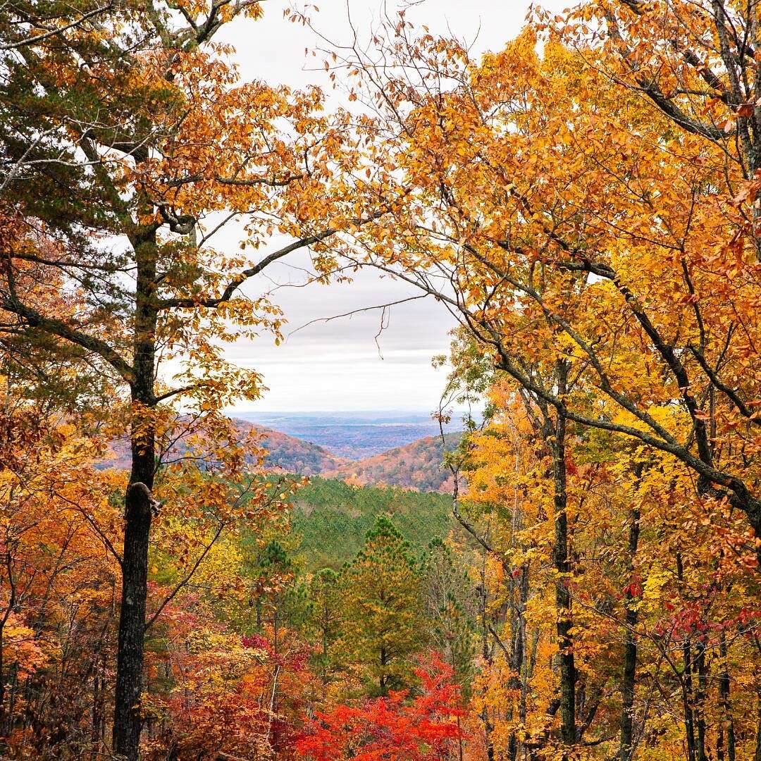 5 Acres of Residential Land for Sale in Soddy-Daisy, Tennessee