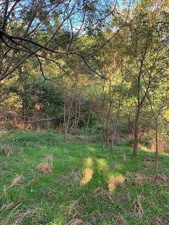 6 Acres of Land for Sale in Petersburg, Tennessee