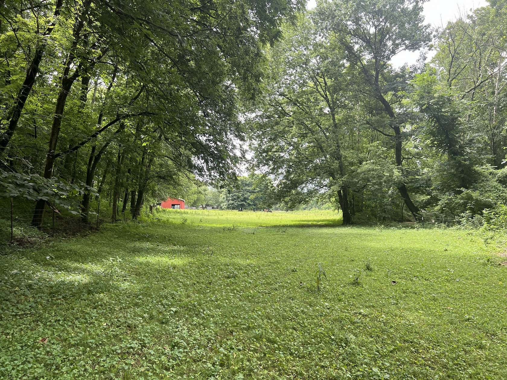44.5 Acres of Agricultural Land with Home for Sale in Bethpage, Tennessee