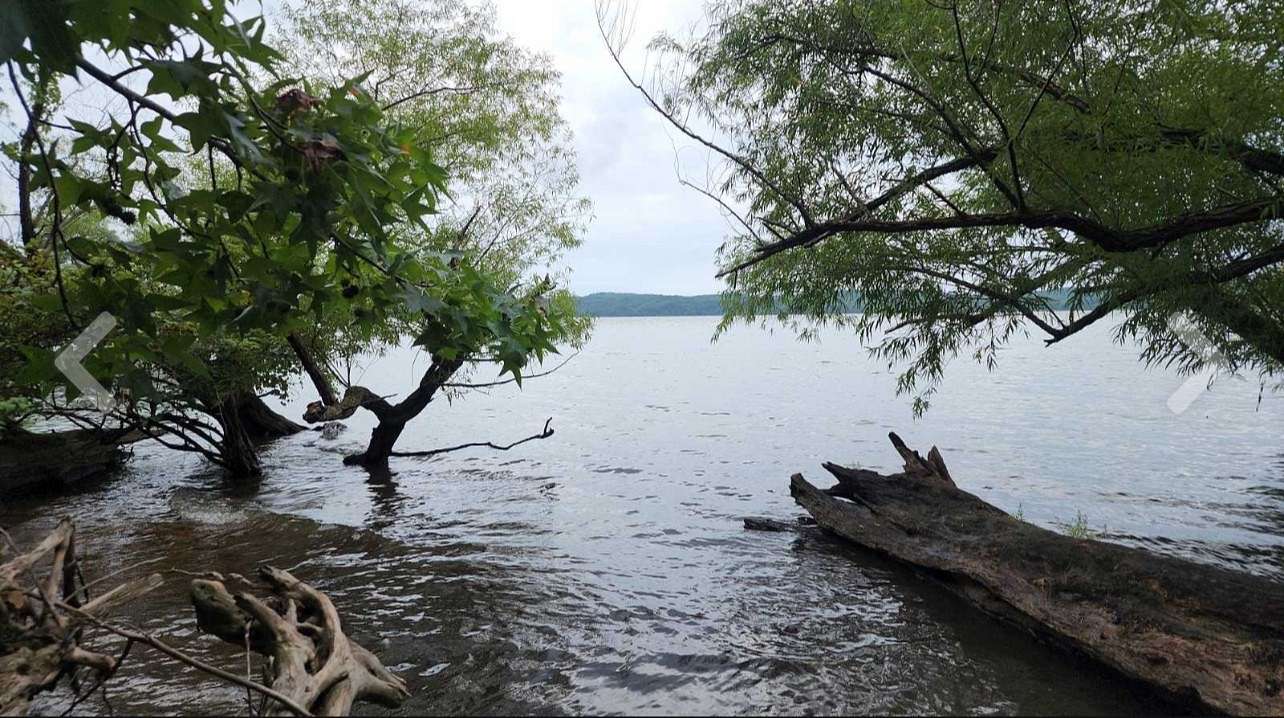 5 Acres of Residential Land for Sale in Waverly, Tennessee