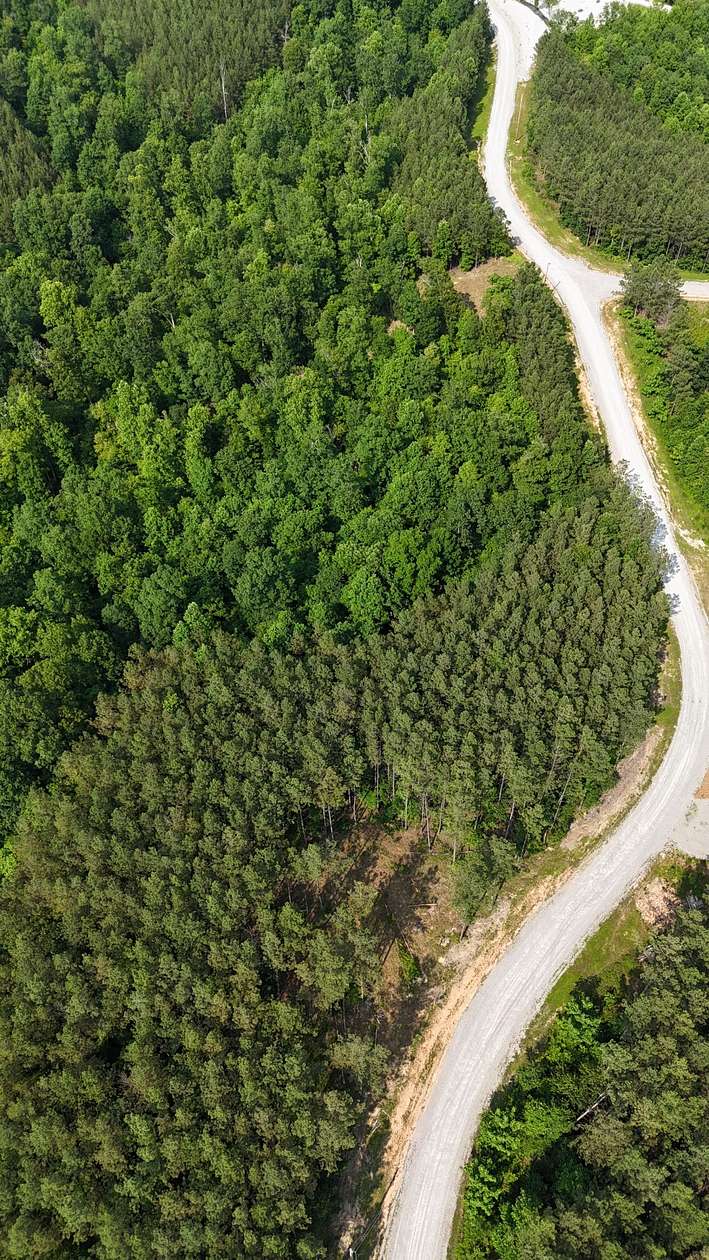 13 Acres of Land for Sale in Linden, Tennessee