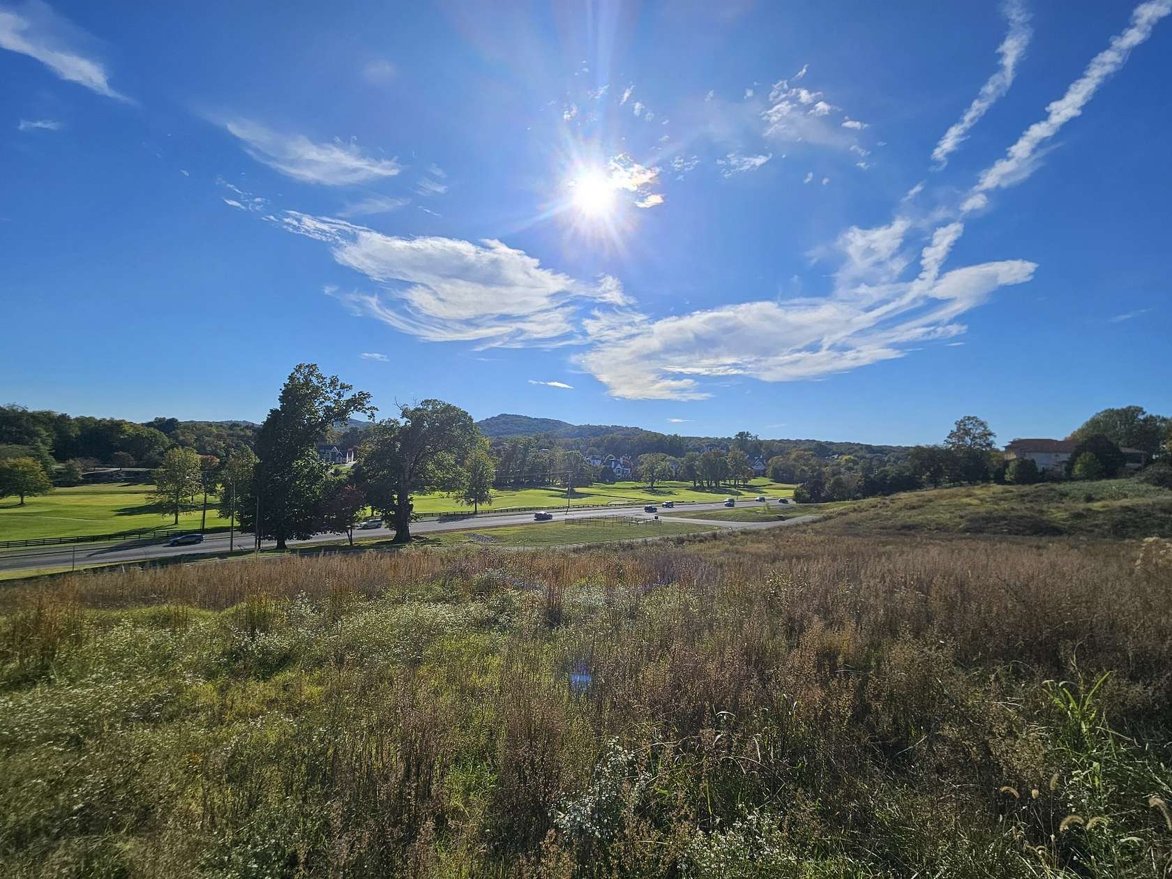 2 Acres of Residential Land for Sale in Brentwood, Tennessee