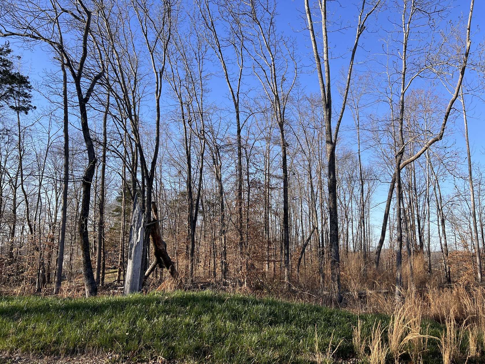 1 Acre of Residential Land for Sale in Sparta, Tennessee