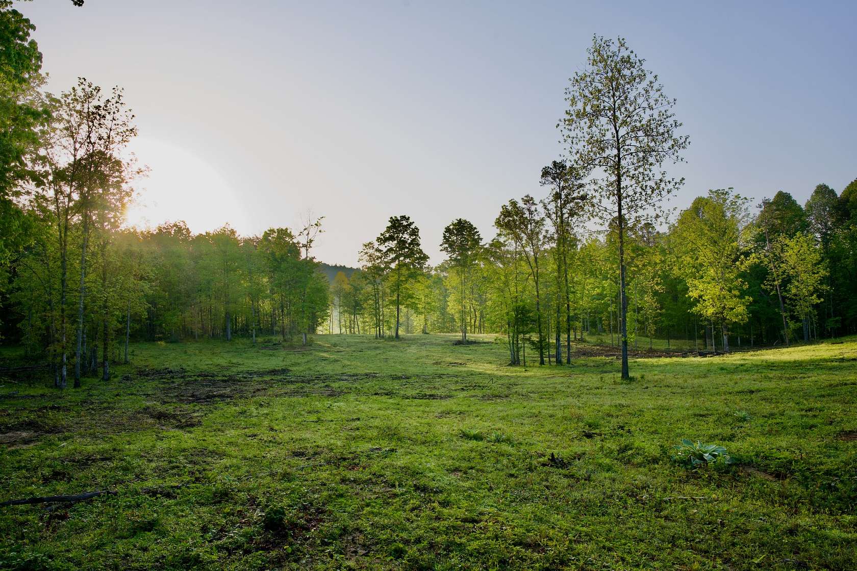 40.5 Acres of Land with Home for Sale in Palmer, Tennessee