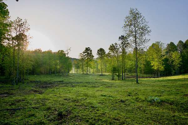 40.5 Acres of Land with Home for Sale in Palmer, Tennessee