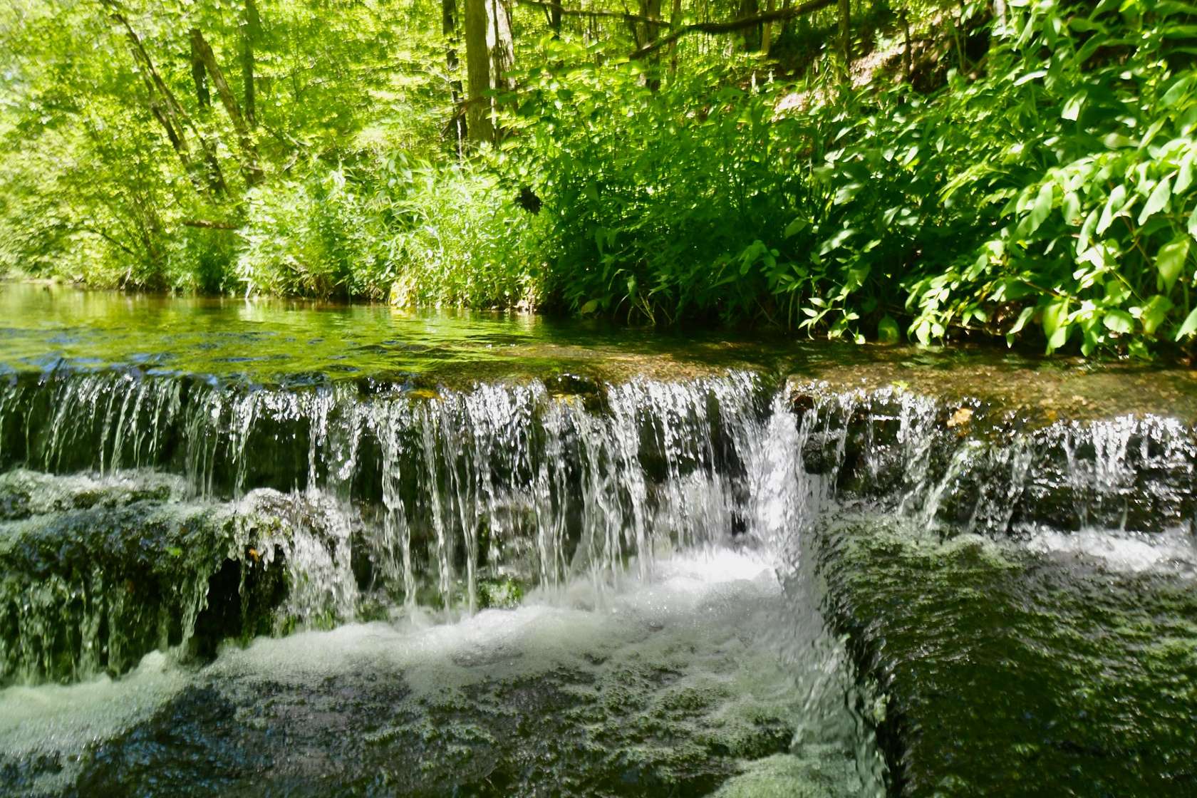 515 Acres of Recreational Land for Sale in Hohenwald, Tennessee