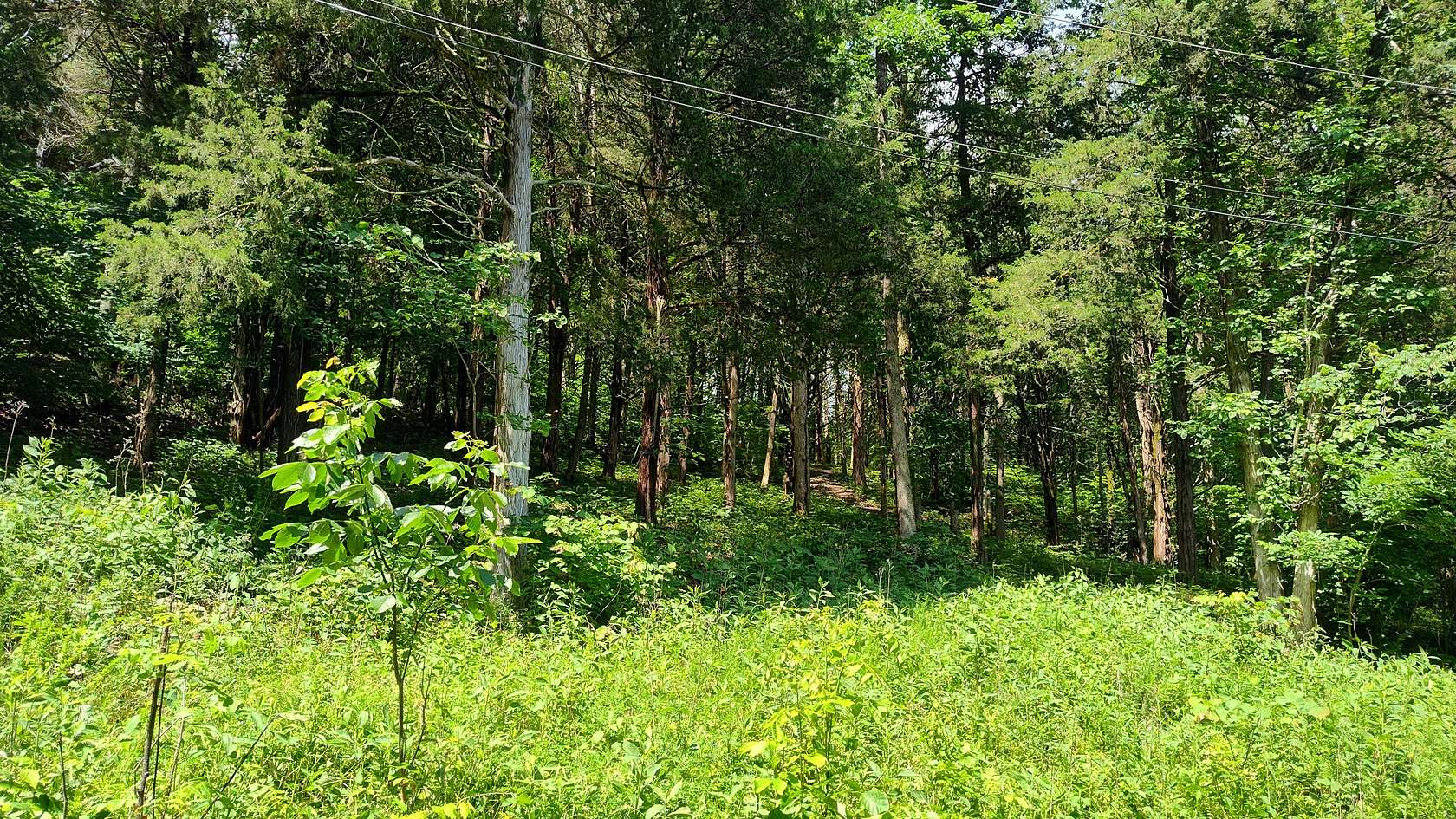 0.86 Acres of Residential Land for Sale in Lancaster, Tennessee