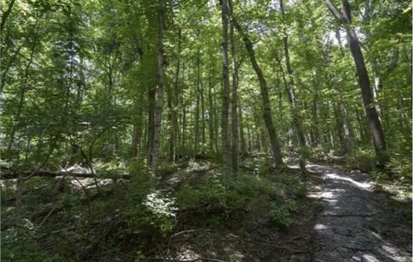 2.78 Acres of Residential Land for Sale in Nashville, Tennessee