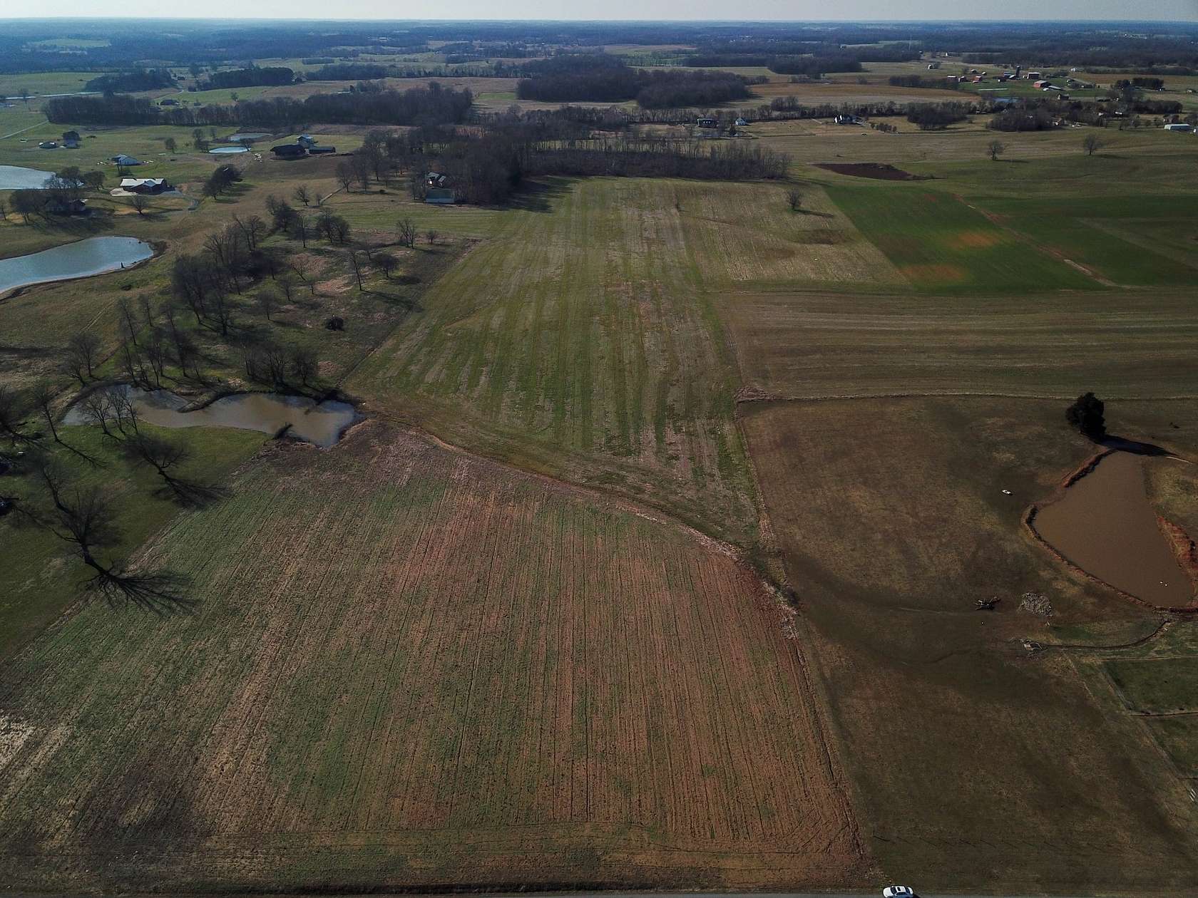50 Acres of Agricultural Land for Sale in Springfield, Tennessee