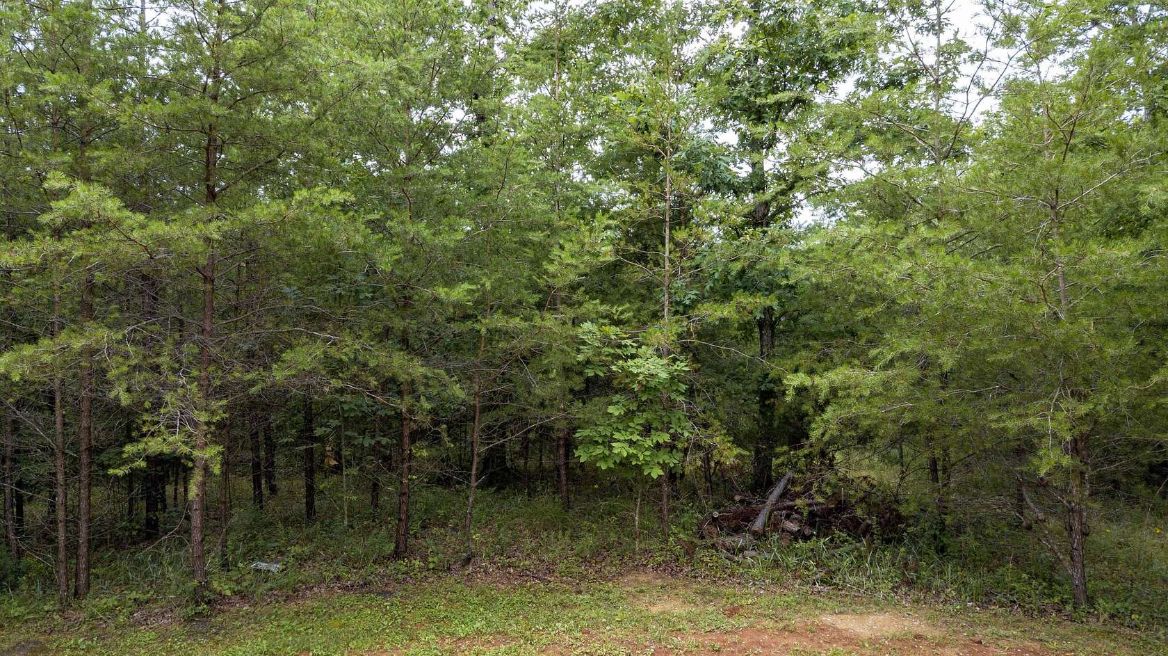 5 Acres of Residential Land for Sale in Spencer, Tennessee