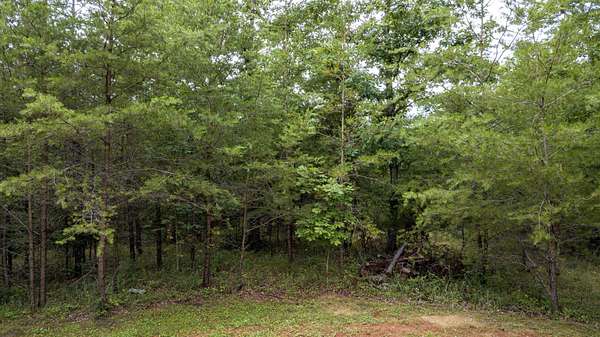 5 Acres of Residential Land for Sale in Spencer, Tennessee