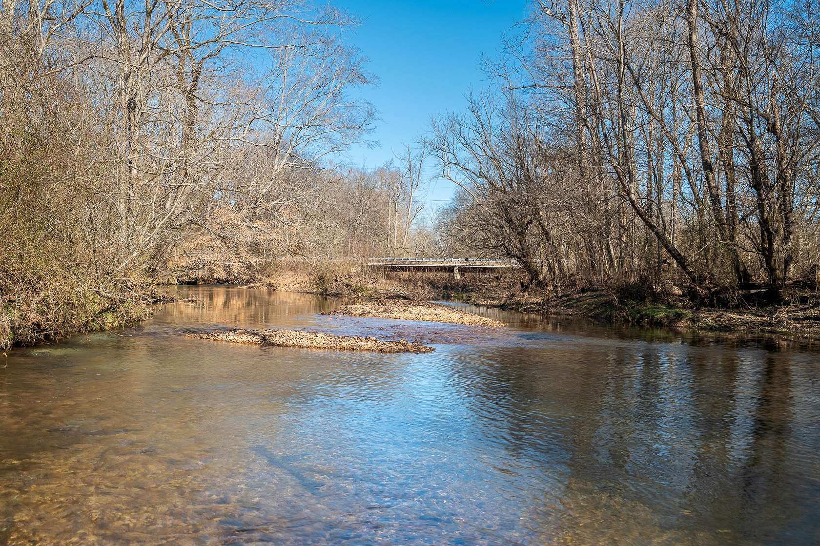 232 Acres of Land for Sale in Leoma, Tennessee