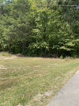 14 Acres of Recreational Land for Sale in White Bluff, Tennessee
