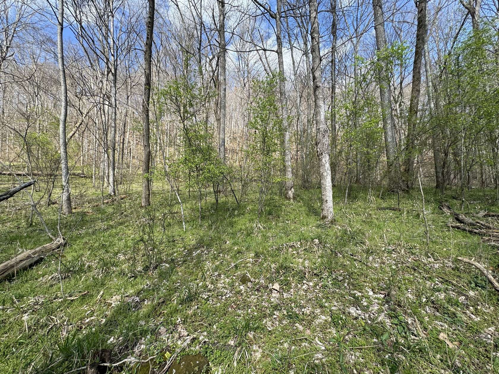 0.37 Acres of Residential Land for Sale in Smithville, Tennessee