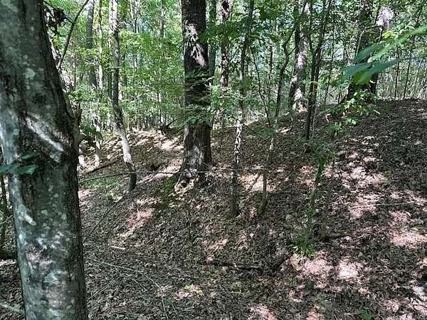 0.73 Acres of Residential Land for Sale in Eva, Tennessee