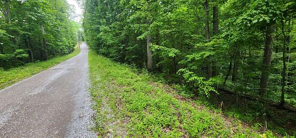 0.23 Acres of Residential Land for Sale in Smithville, Tennessee