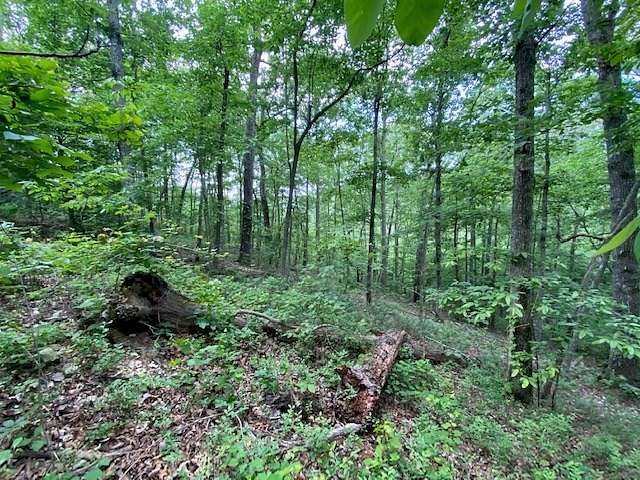 1.3 Acres of Residential Land for Sale in Big Sandy, Tennessee