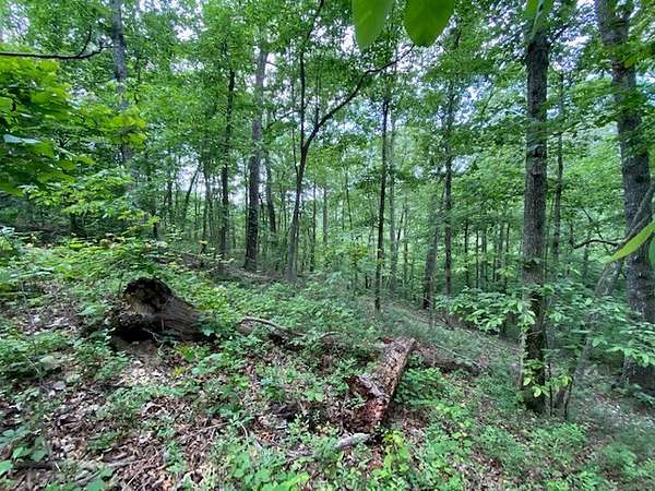 1.3 Acres of Residential Land for Sale in Big Sandy, Tennessee