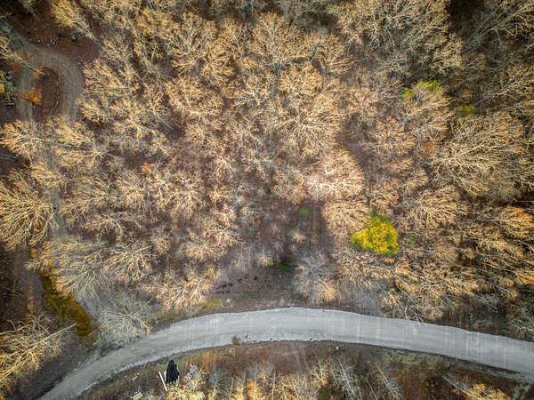 0.74 Acres of Residential Land for Sale in Monteagle, Tennessee