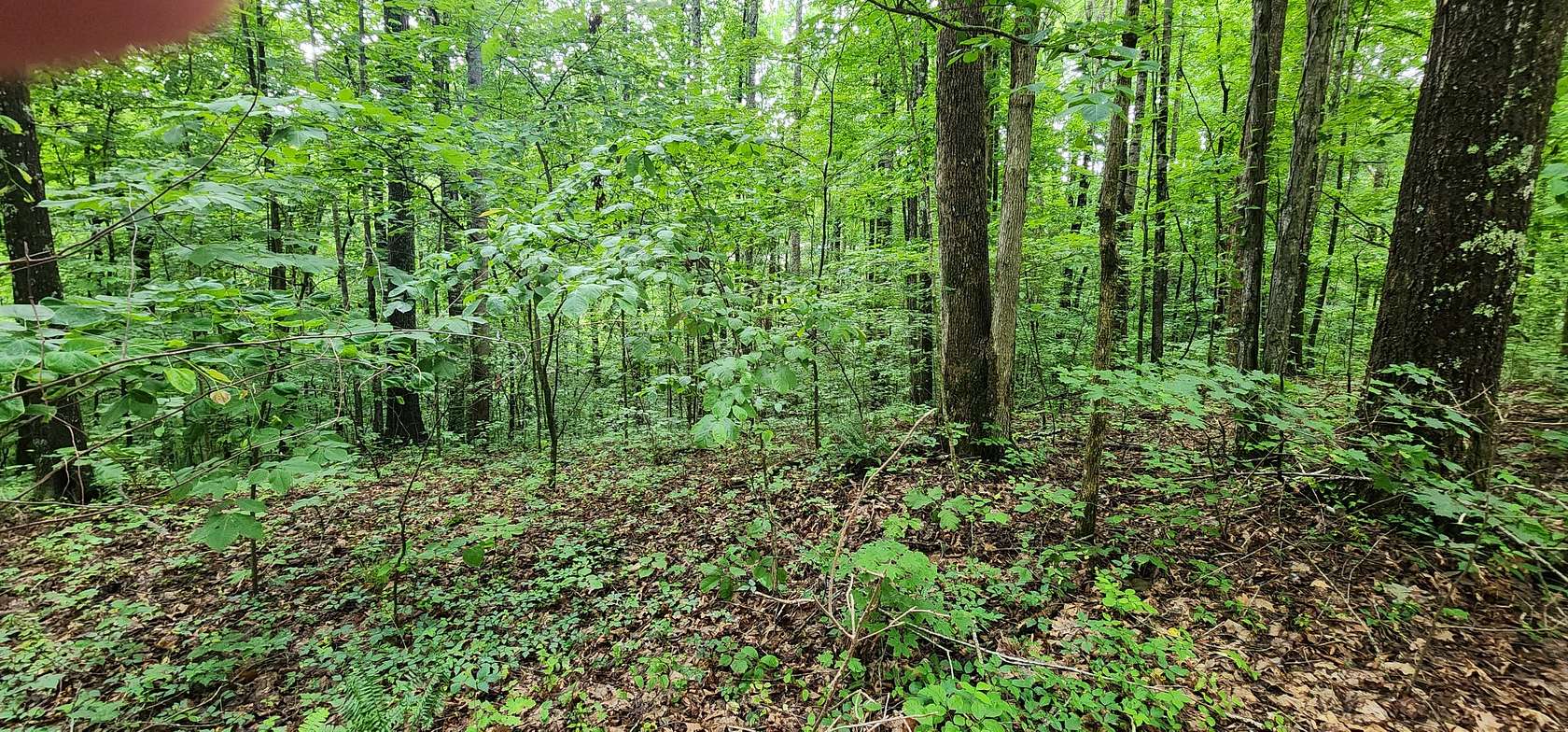 0.24 Acres of Residential Land for Sale in Smithville, Tennessee