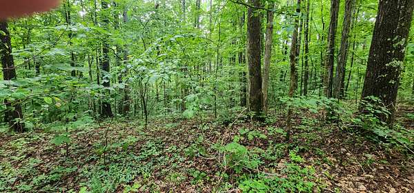 0.24 Acres of Residential Land for Sale in Smithville, Tennessee