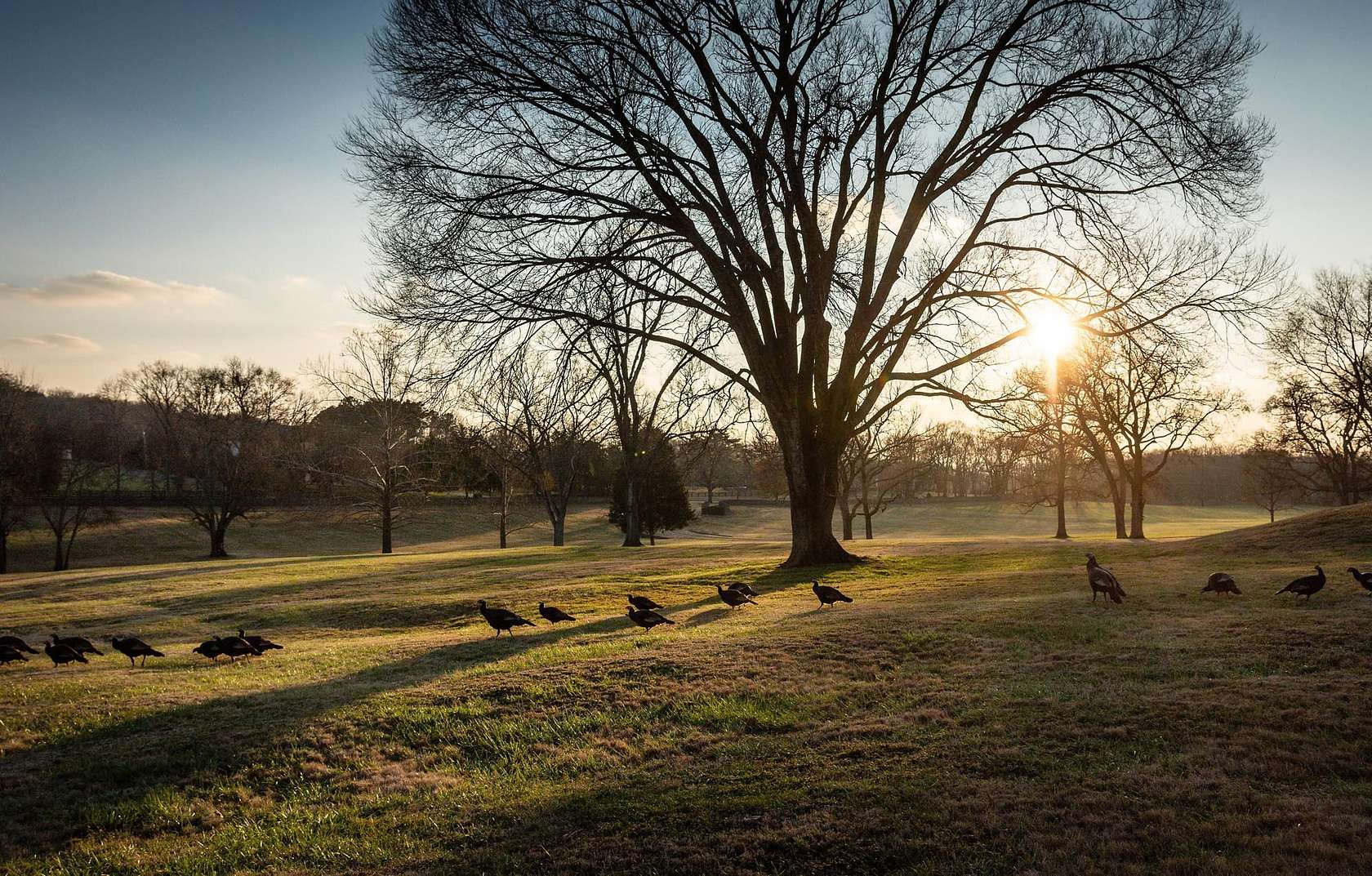 2.48 Acres of Residential Land for Sale in Brentwood, Tennessee