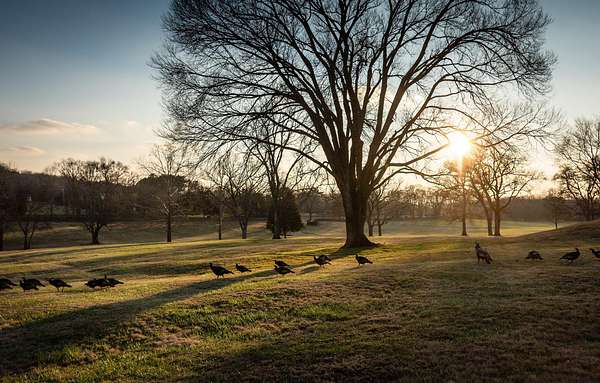 2.48 Acres of Residential Land for Sale in Brentwood, Tennessee