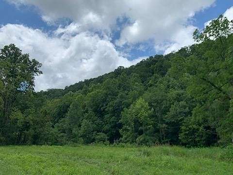 18.3 Acres of Recreational Land for Sale in Whitleyville, Tennessee