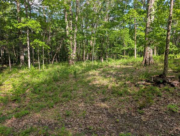 1 Acre of Residential Land for Sale in Brentwood, Tennessee