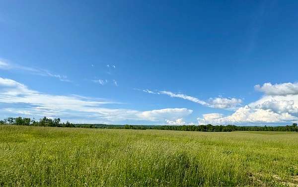 206 Acres of Land for Sale in Waynesboro, Tennessee