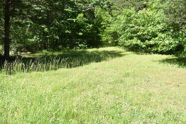 20.6 Acres of Recreational Land & Farm for Sale in Carthage, Tennessee
