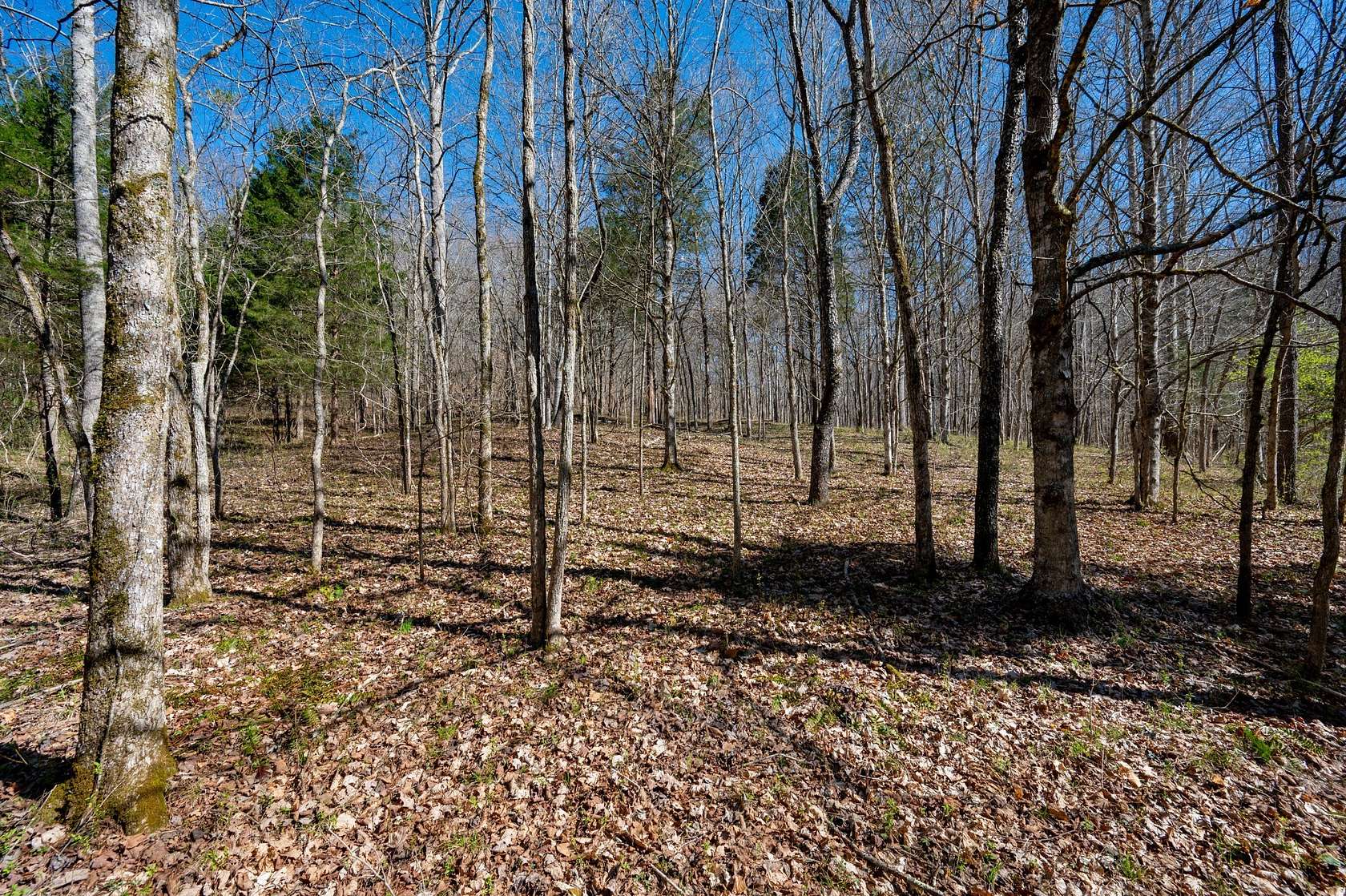 24 Acres of Recreational Land for Sale in Franklin, Tennessee