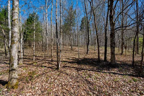 24 Acres of Recreational Land for Sale in Franklin, Tennessee