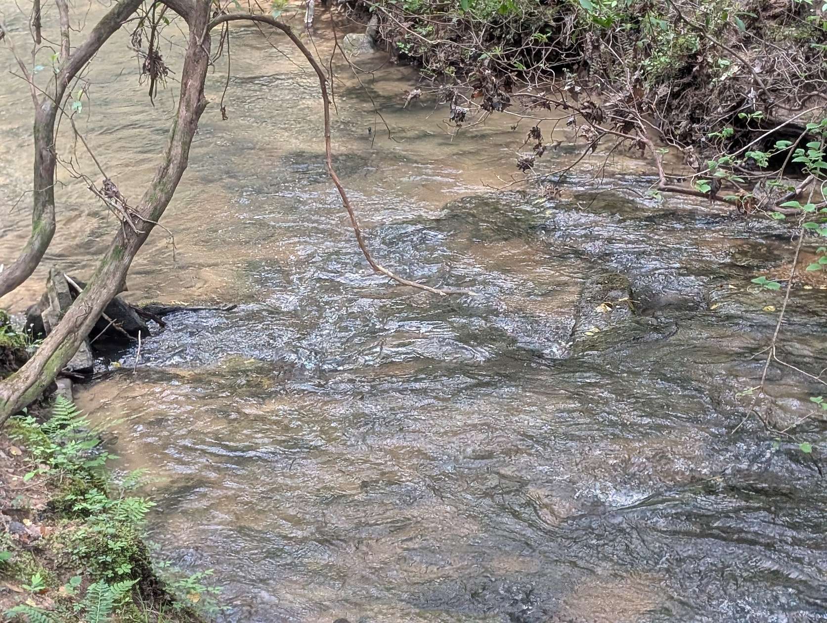 26 Acres of Recreational Land for Sale in Gruetli-Laager, Tennessee