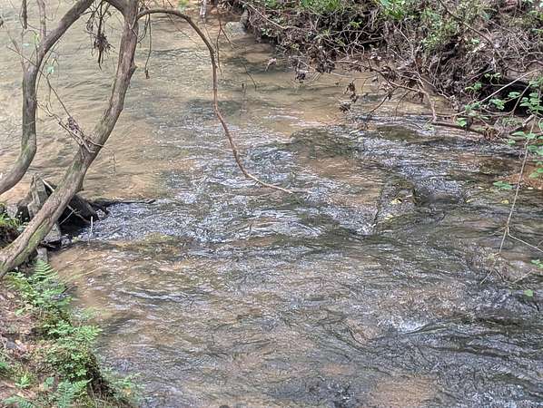 26 Acres of Recreational Land for Sale in Gruetli-Laager, Tennessee