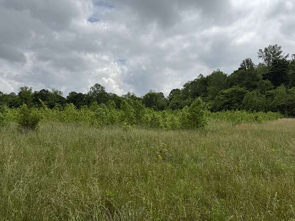 5.14 Acres of Residential Land for Sale in Olivehill, Tennessee